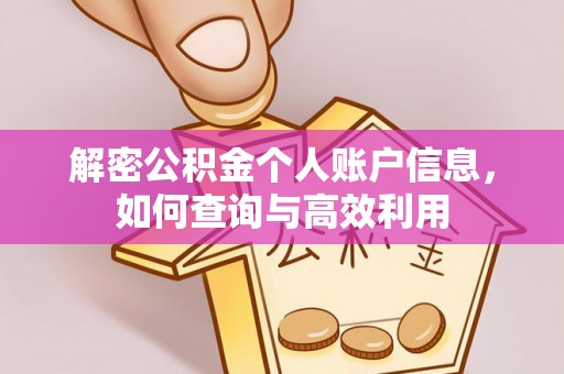 崇川解密公积金个人账户信息，如何查询与高效利用
