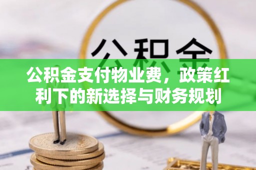 崇川公积金支付物业费，政策红利下的新选择与财务规划