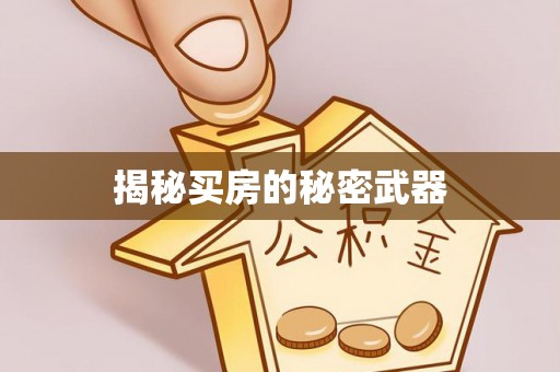 崇川揭秘买房的秘密武器