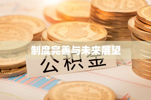 崇川制度完善与未来展望
