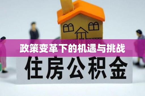 崇川政策变革下的机遇与挑战