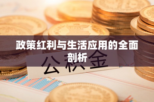 崇川政策红利与生活应用的全面剖析
