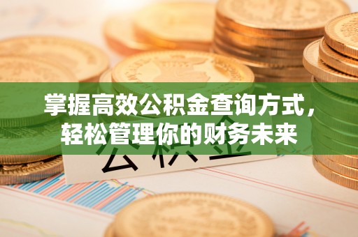 崇川掌握高效公积金查询方式，轻松管理你的财务未来