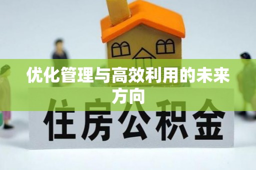 崇川优化管理与高效利用的未来方向