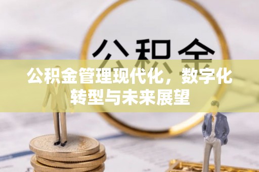 崇川公积金管理现代化，数字化转型与未来展望
