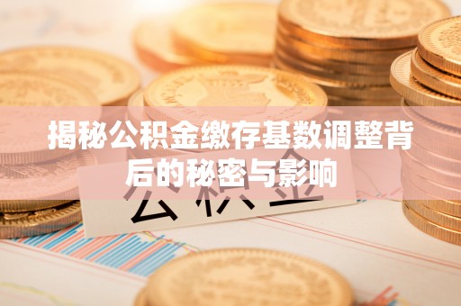 崇川揭秘公积金缴存基数调整背后的秘密与影响