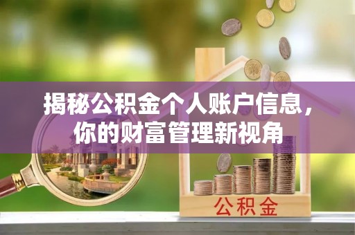 崇川揭秘公积金个人账户信息，你的财富管理新视角