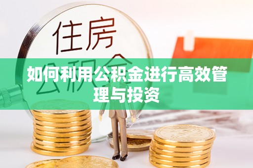 崇川如何利用公积金进行高效管理与投资