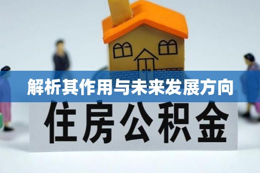 崇川解析其作用与未来发展方向